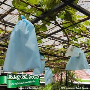 Fruit Cover
