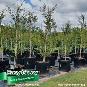 Easy Grow Planter Bag Non Woven