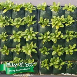 Easy Grow Wall Planter