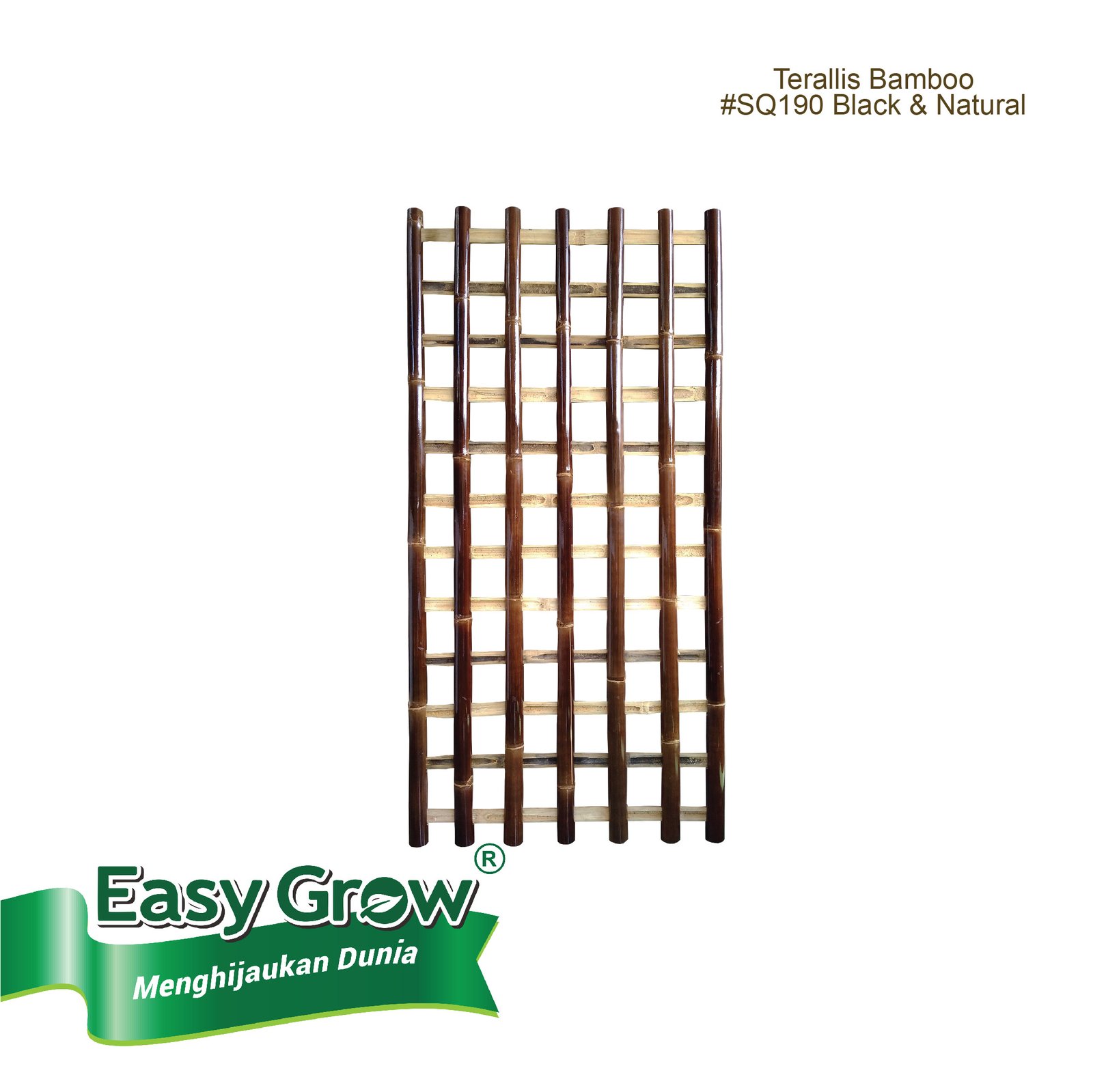 Trellis Bamboo - Image 2